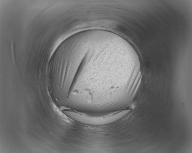 X0000076321532200610201625