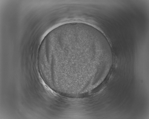 X0000076321534200610201625