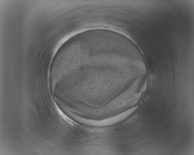 X0000076321535200610201625