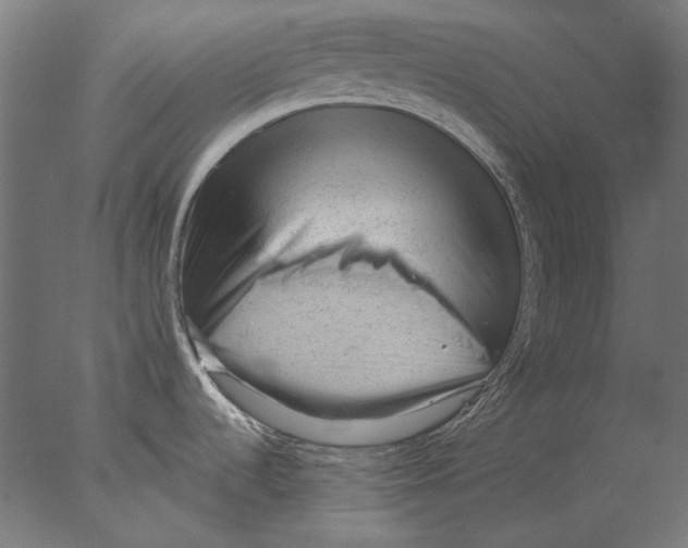 X0000076321536200610201626