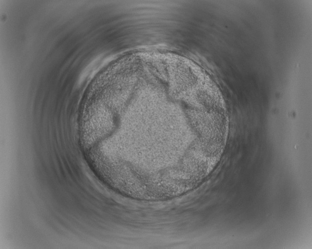 X0000076320002200610272016