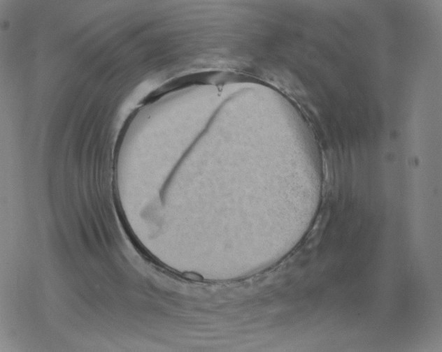 X0000076320003200610272016