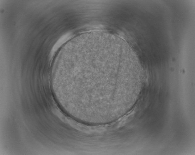 X0000076320004200610272016