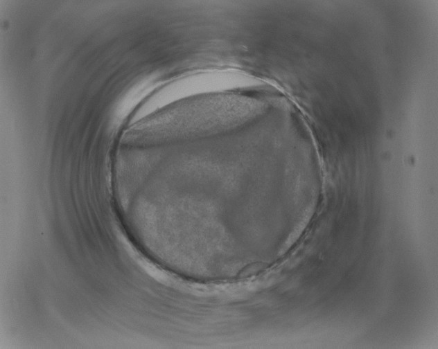 X0000076320005200610272016