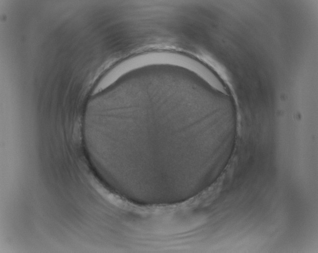 X0000076320009200610272016