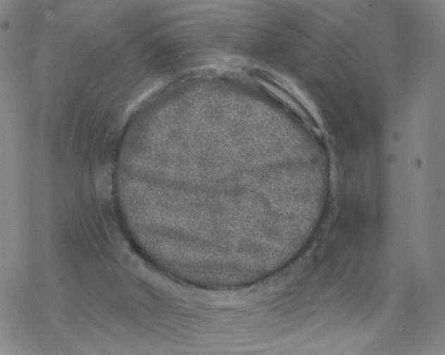 X0000076320010200610272016