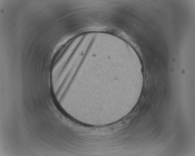 X0000076320011200610272016