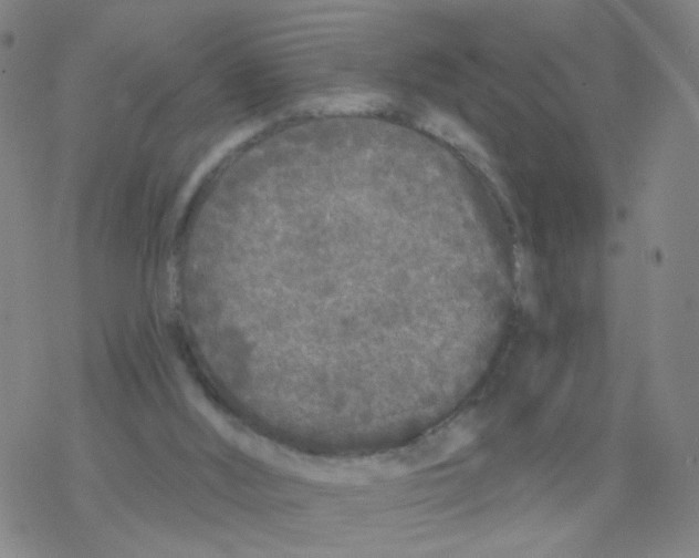 X0000076320012200610272016