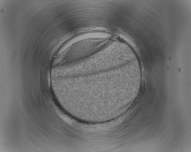 X0000076320013200610272016