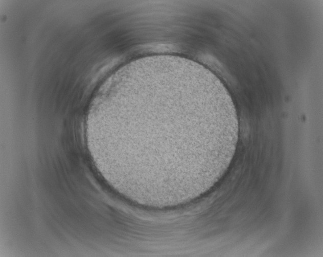 X0000076320014200610272016