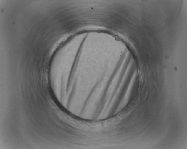 X0000076320015200610272016