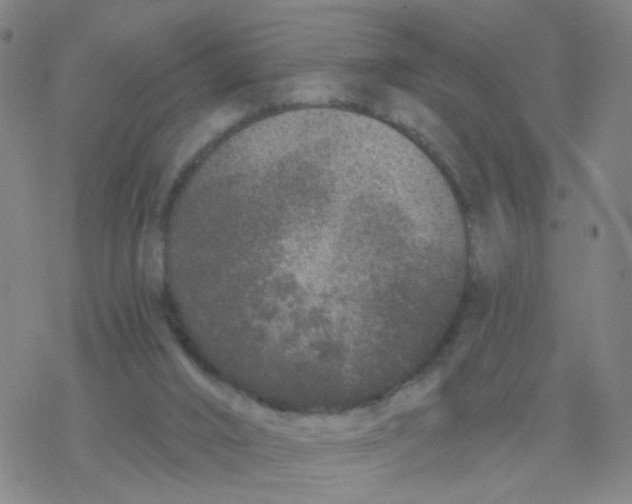 X0000076320016200610272016