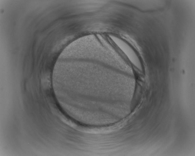 X0000076320017200610272016