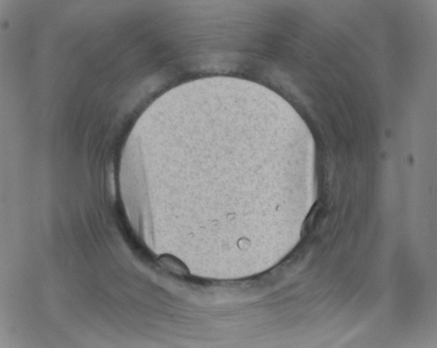 X0000076320020200610272015