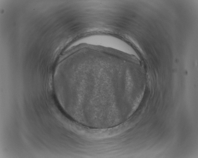 X0000076320023200610272015