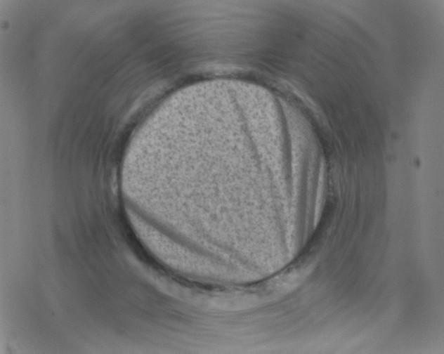 X0000076320024200610272015