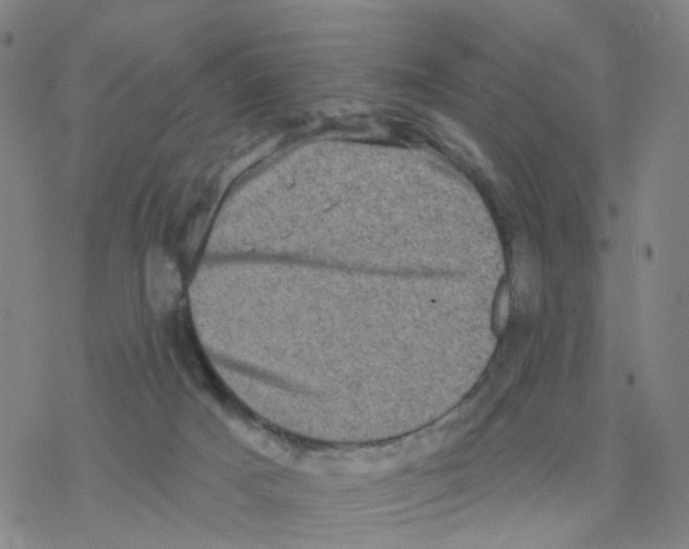 X0000076320025200610272015