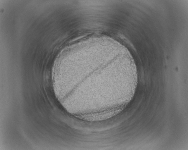 X0000076320026200610272015