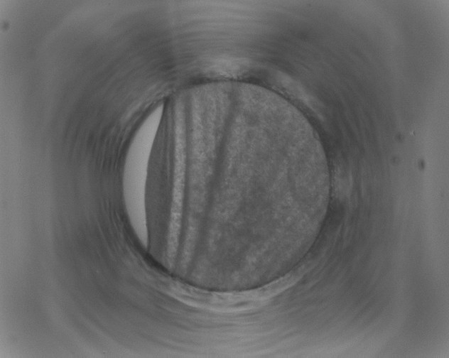 X0000076320027200610272015