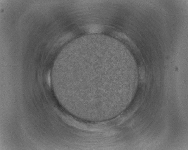 X0000076320028200610272015