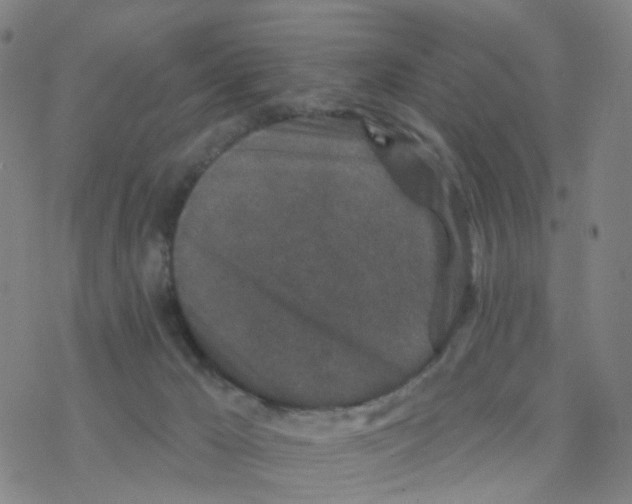 X0000076320029200610272015