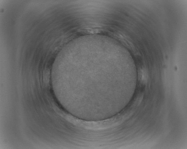 X0000076320030200610272015