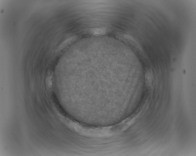 X0000076320032200610272015