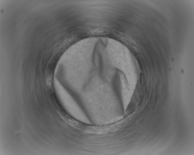 X0000076320033200610272015