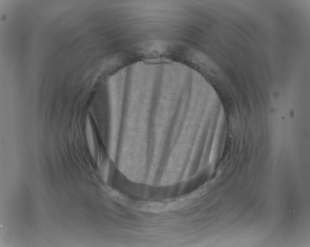 X0000076320037200610272015