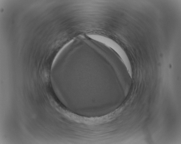 X0000076320039200610272015