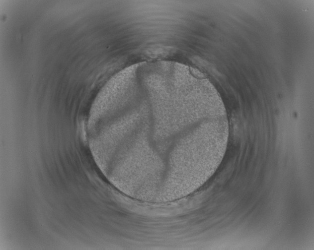 X0000076320042200610272015