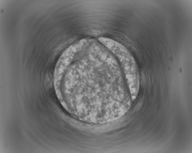 X0000076320043200610272015