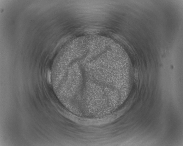 X0000076320046200610272015