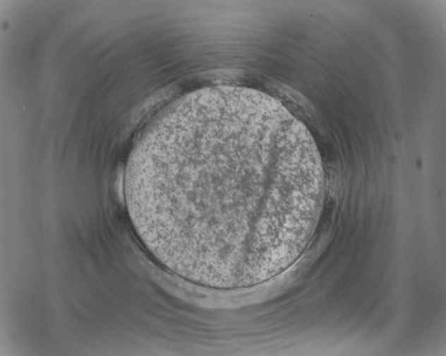 X0000076320047200610272015