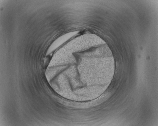 X0000076320048200610272015