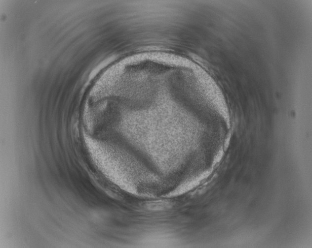 X0000076320050200610272014