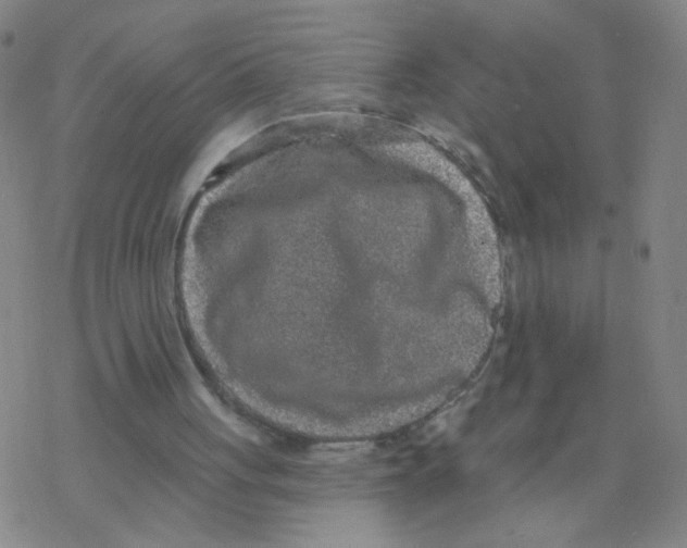 X0000076320051200610272014