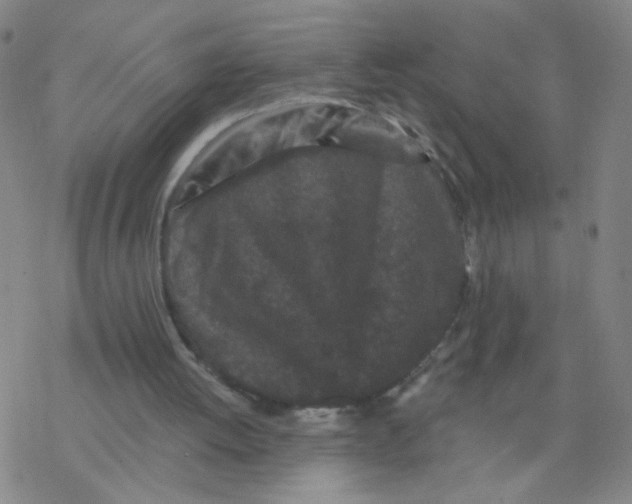 X0000076320052200610272014