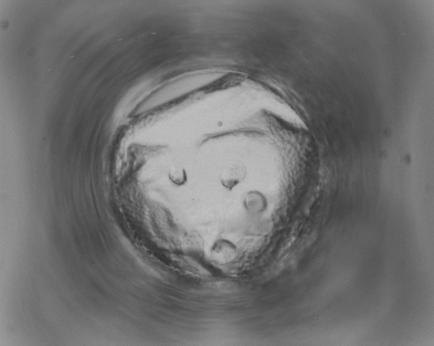 X0000076320053200610272014