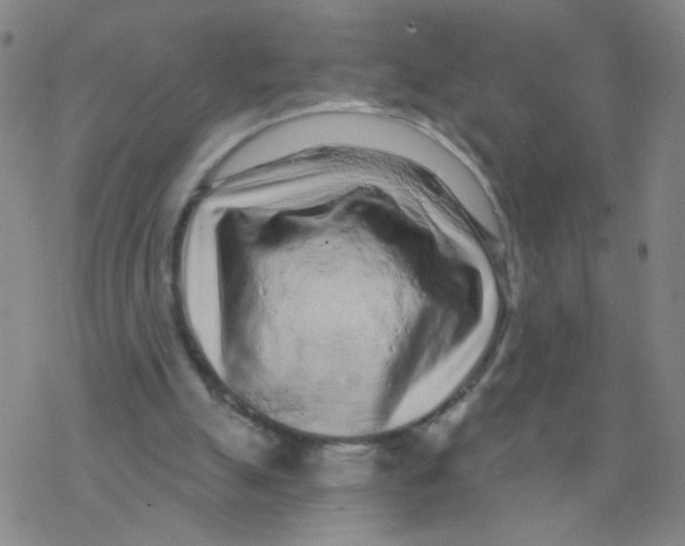 X0000076320055200610272014