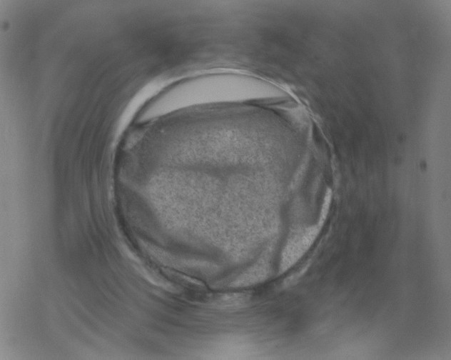 X0000076320056200610272014