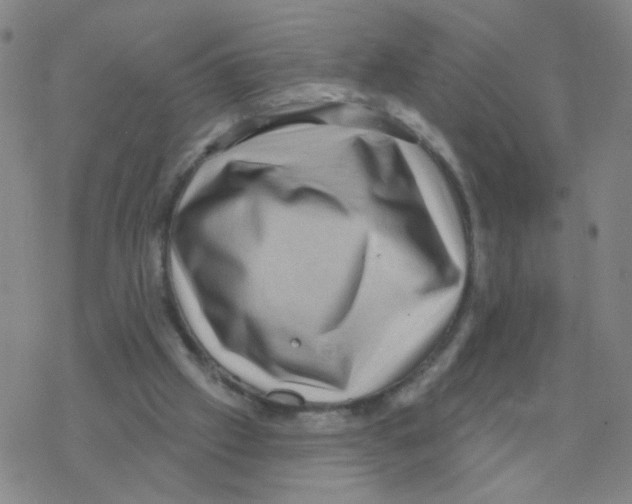 X0000076320057200610272014