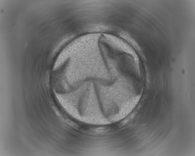 X0000076320058200610272014