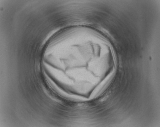 X0000076320060200610272014