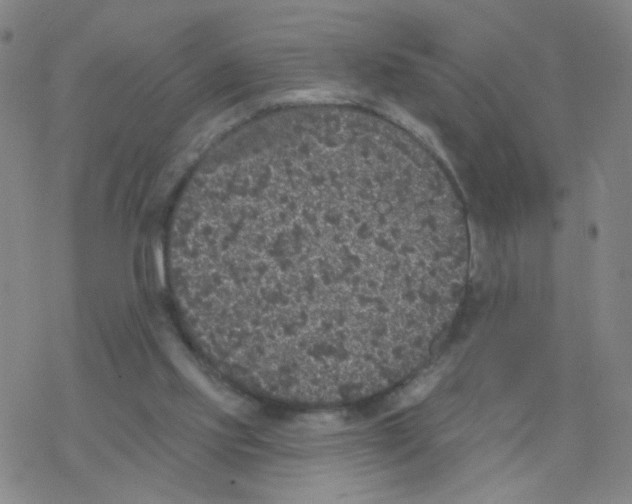 X0000076320061200610272014