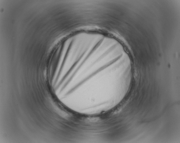 X0000076320063200610272014