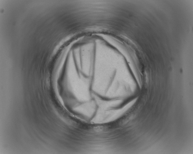 X0000076320064200610272014