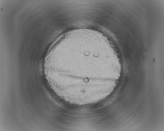 X0000076320065200610272015