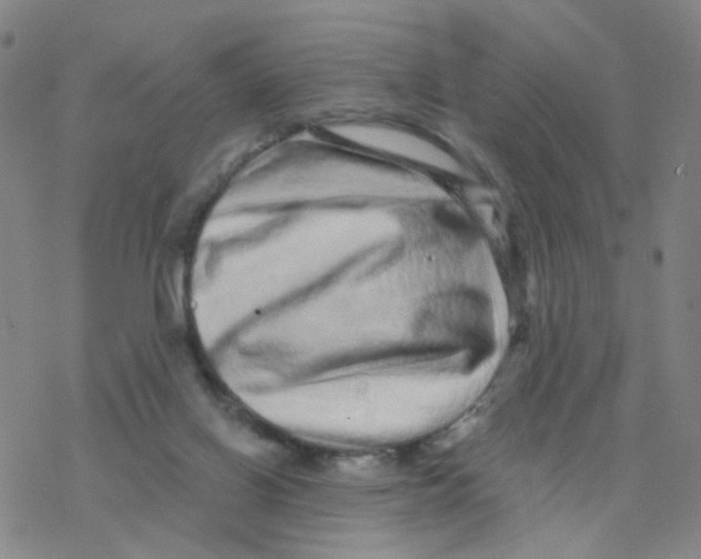 X0000076320070200610272015