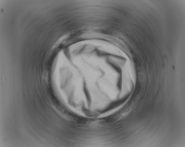 X0000076320072200610272015